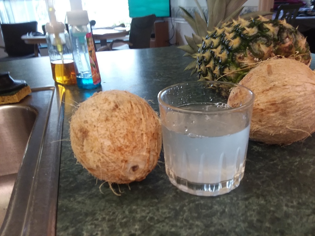 Coconut water 7-3-18.jpg