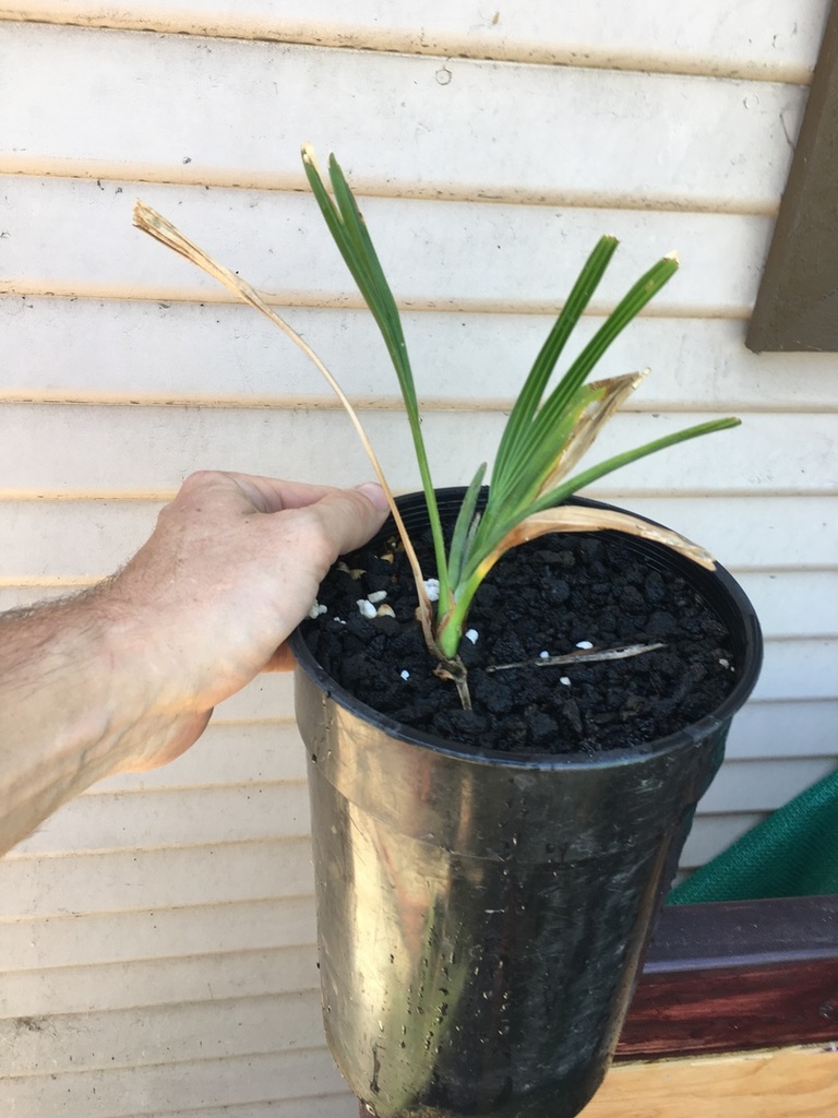 7367E0F7-5230-45AC-81E5-01ED3B48040C.thu