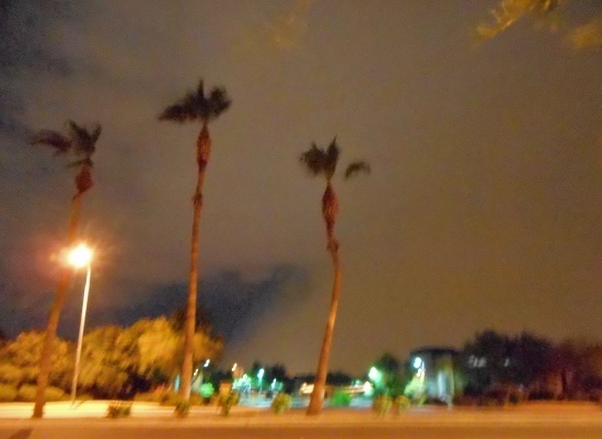 DSCN4204.JPG.dbe0f338de4cfaf2f9ed713fcbb