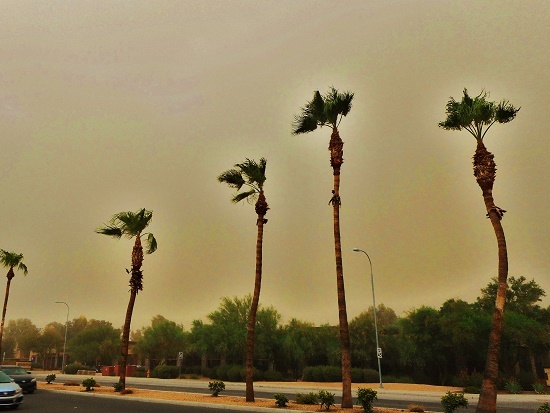 DSCN4225.JPG.e9a4bd0ccca6ccbaa62cdb4b4f8