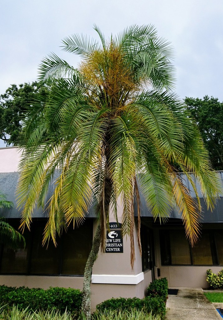 DSC_3502.JPG