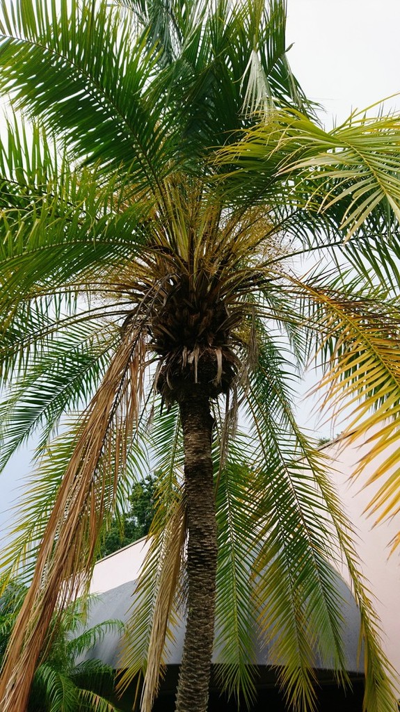 DSC_3503.JPG