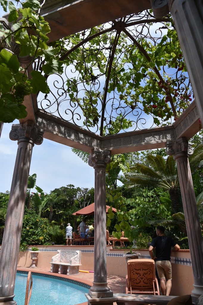 DSC_5401.thumb.jpg.67a29fea82d131fb32c82