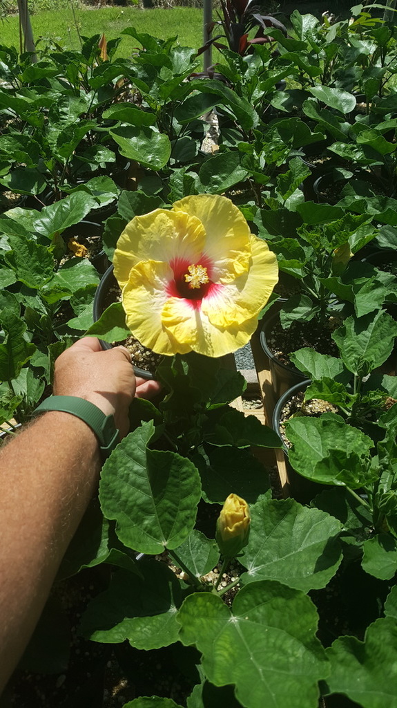 20180721_151423.jpg