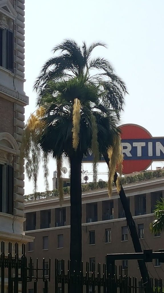 20180810_112023.jpg