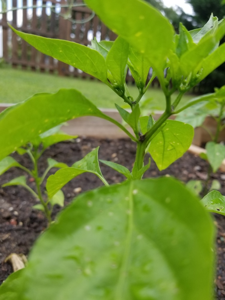 20180811_144813.jpg