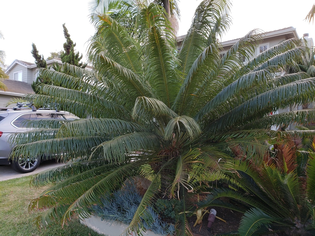 20180819_184450.jpg