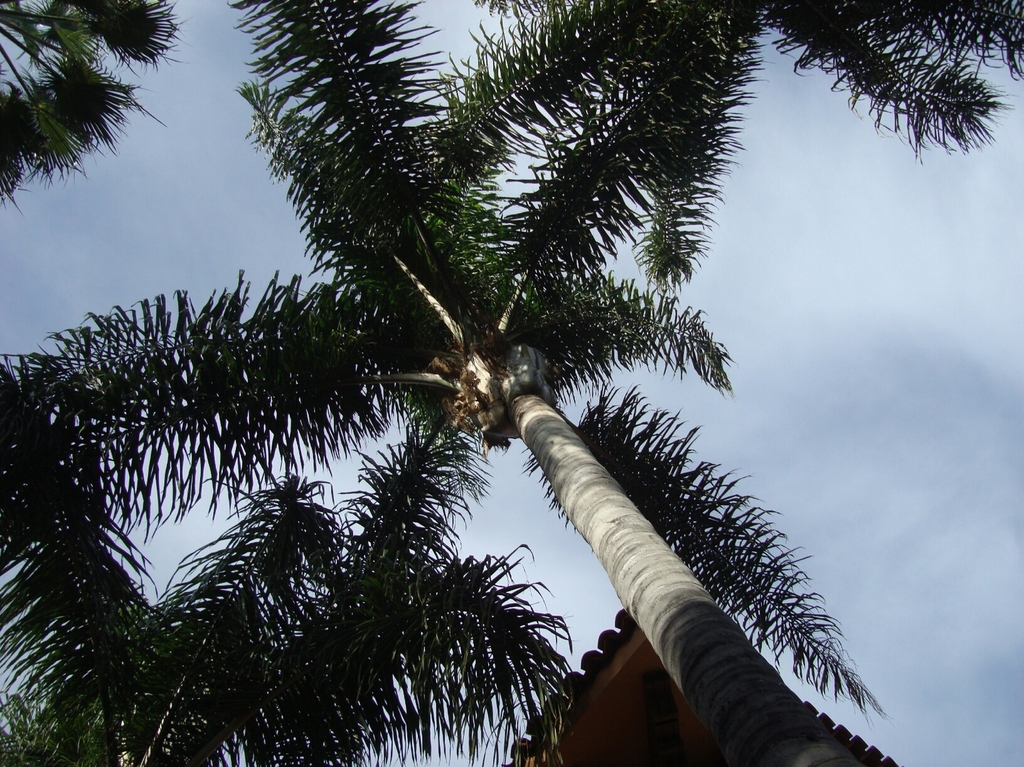 2018-08-14 09.34.53.jpg