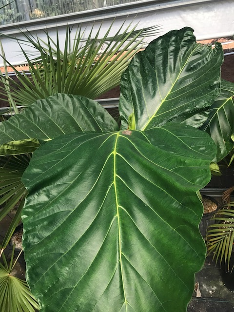 IMG_1471.JPG.fc5b843d4842696578411ba2475