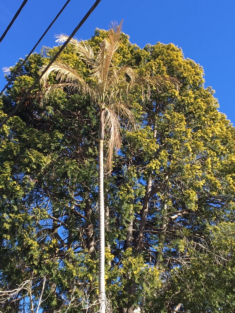 IMG_2213.thumb.JPG.a8d5a08674baa7175e095