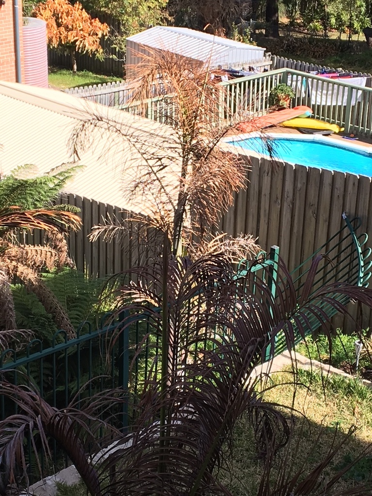 IMG_2287.thumb.JPG.a6366157fc053bba03da9