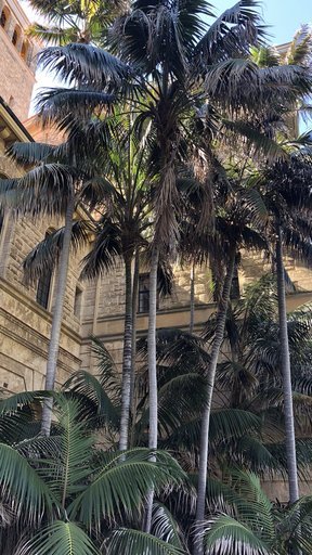 A walk around UWA