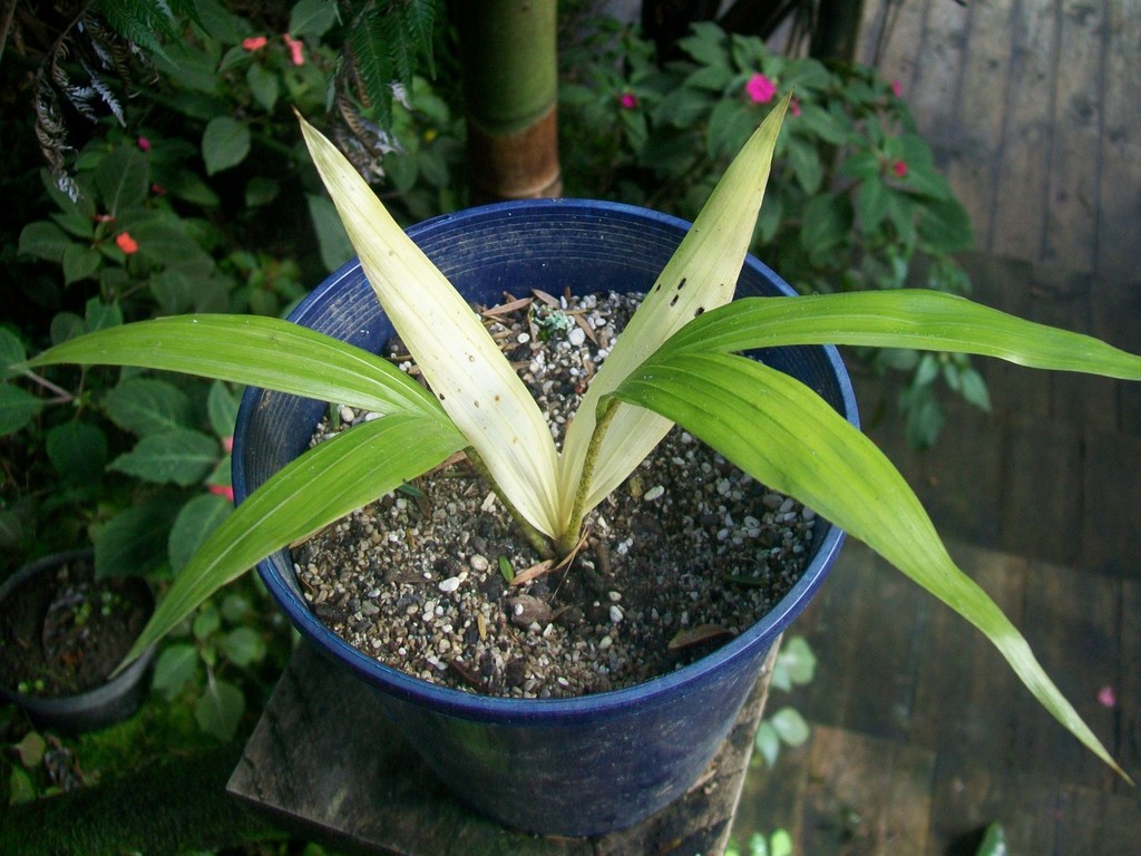 n8.JPG