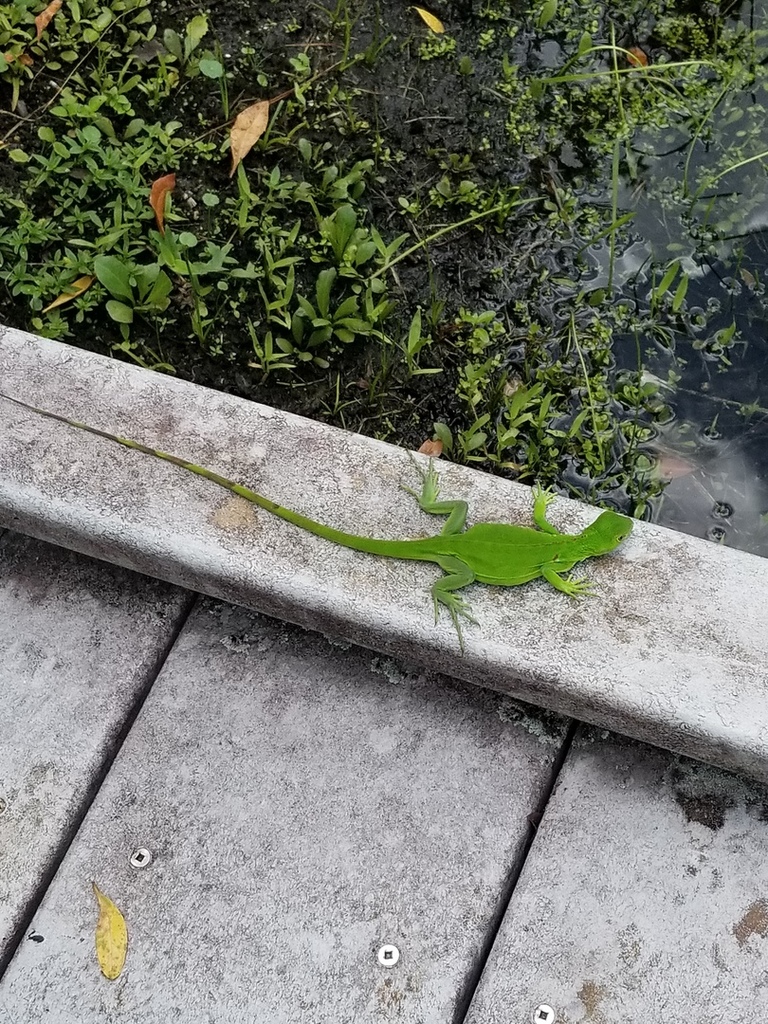 20180830_125714.jpg