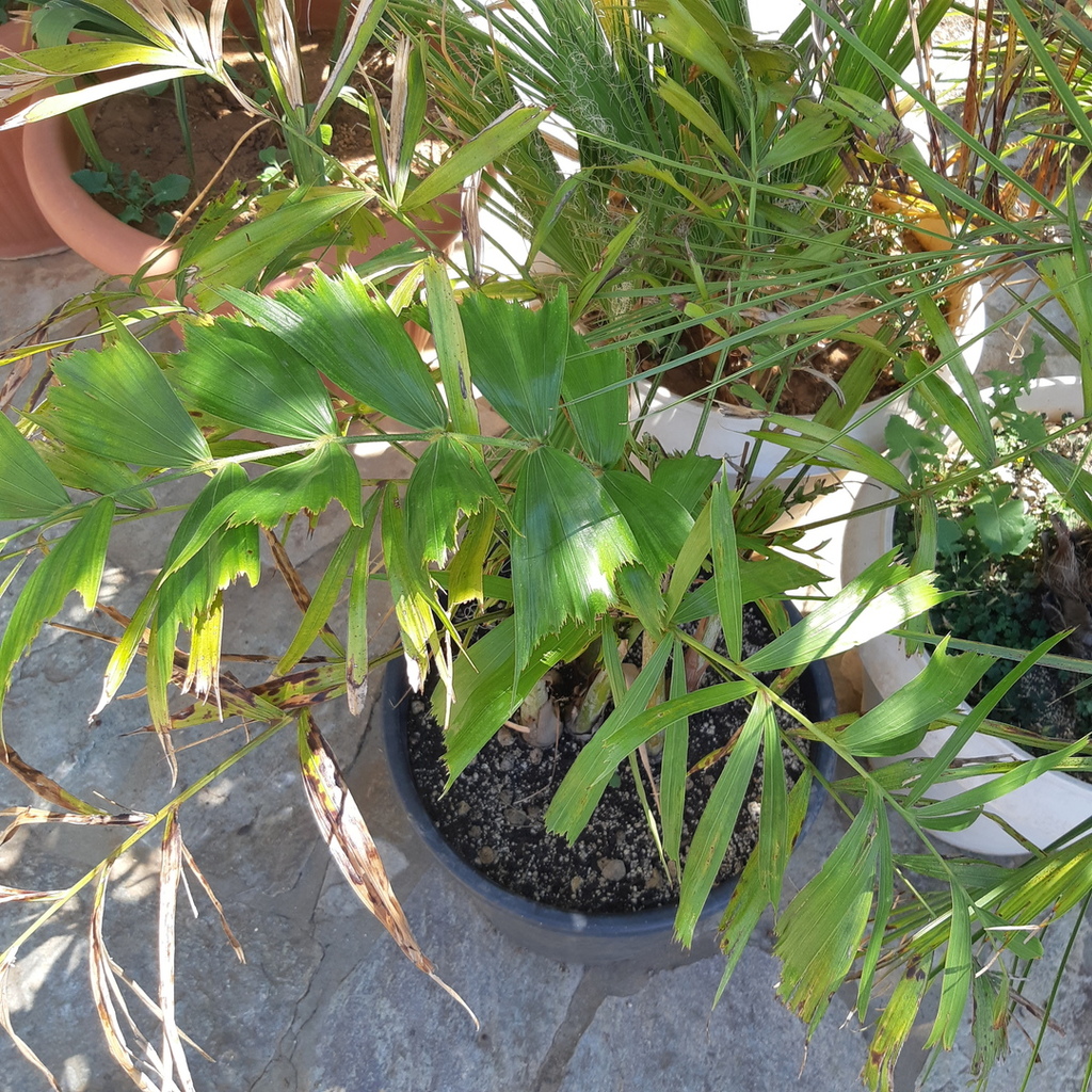 20180902_132059.jpg