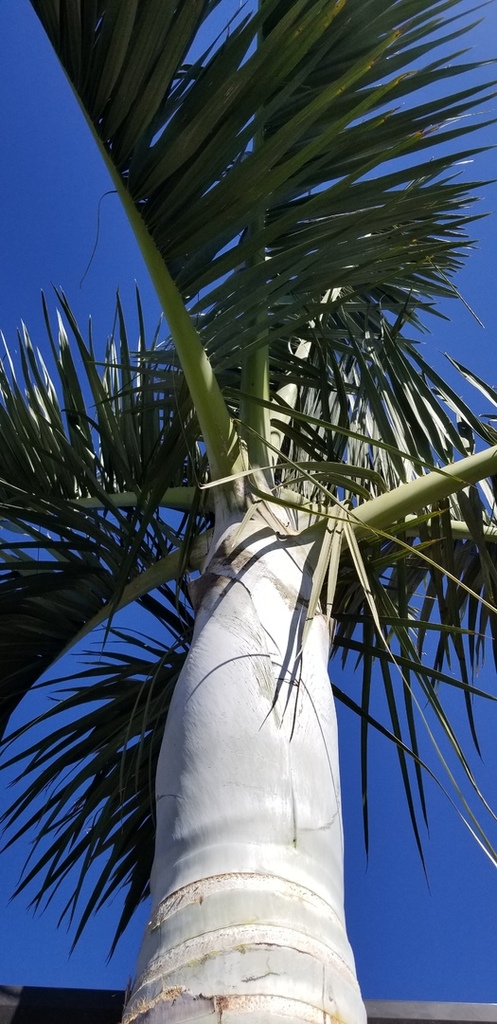 20180908_151727.jpg