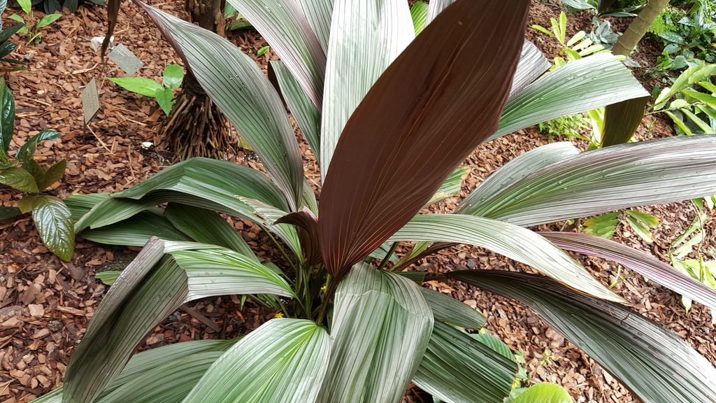 20180915_120744.jpg