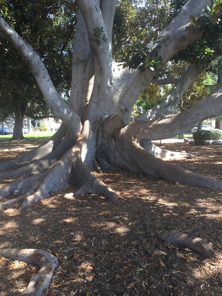 432B4F17-35B3-464F-8D21-7ACFD92376CD.thu