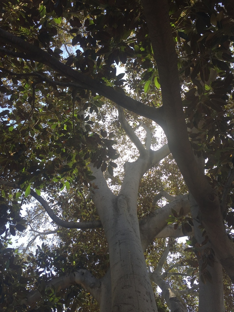 8E9F0497-372F-4BEE-ABF0-EC0398D2D282.thu