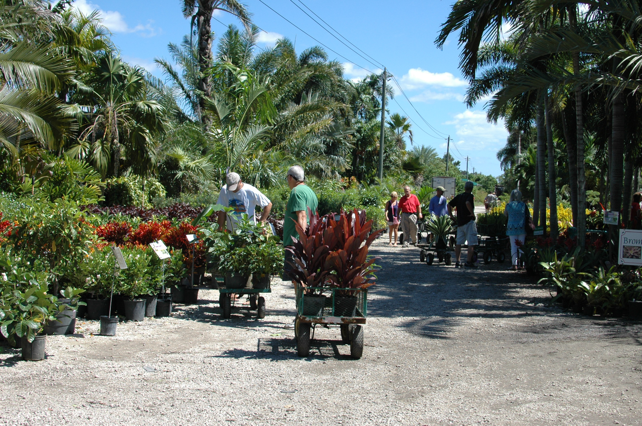 20th Annual Fall Searle Plant Extravaganza! Pt.2