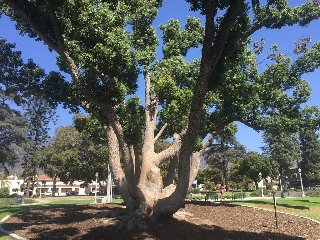 F8EAB7E5-7A53-4811-BAD7-14EA4B741AC8.thu