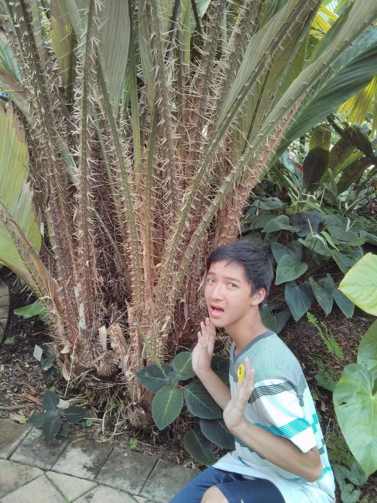 FB_IMG_1536586026946.thumb.jpg.8c6b86d22