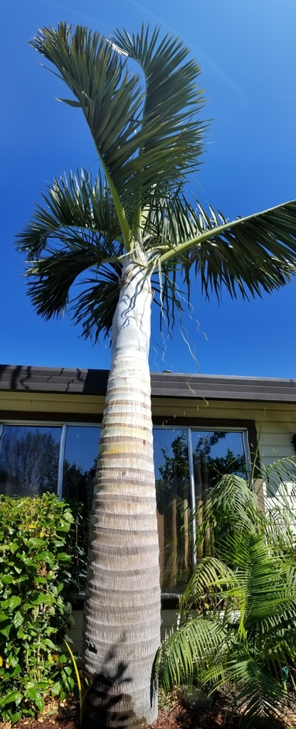 Screenshot_20180908-191301_Gallery.jpg