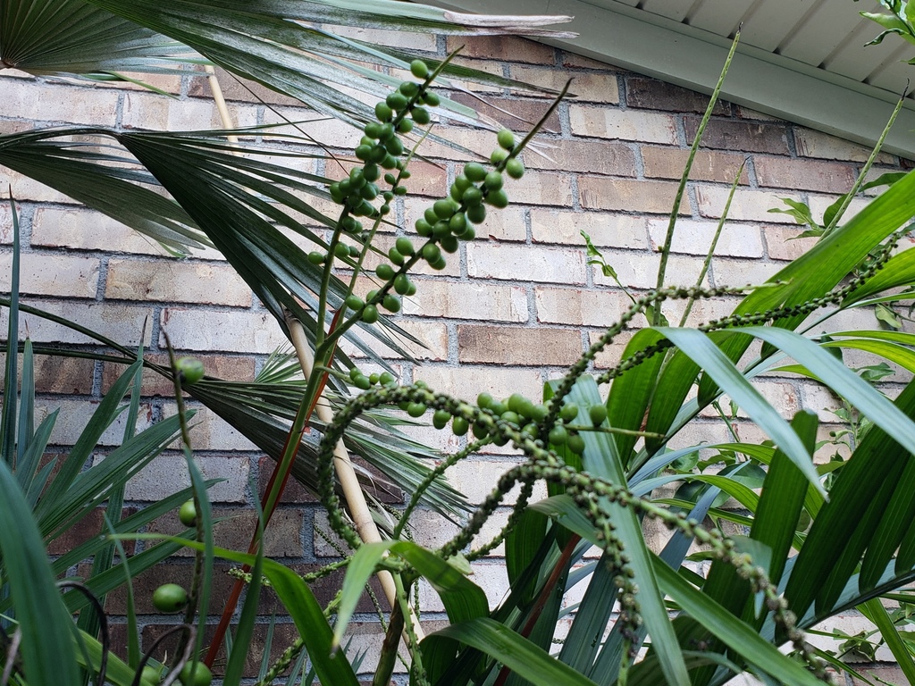 20181003_174156.jpg