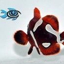 FishEyeAquaculture