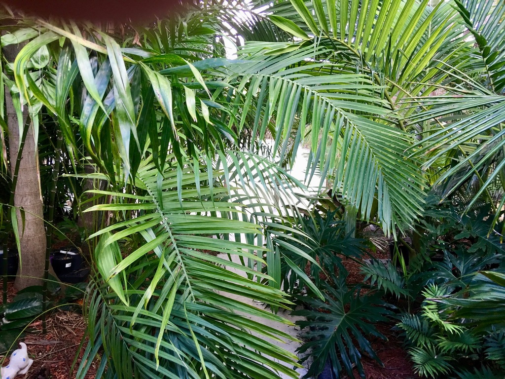 5bc9734865ed8_Viewdowntocanal0110-18-18.