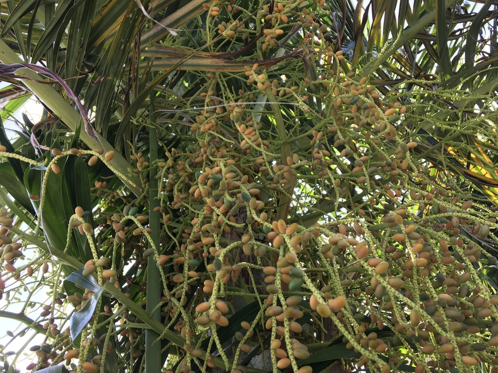 8B03D1BC-358D-4139-ADC9-FDAFE84524B3.jpeg