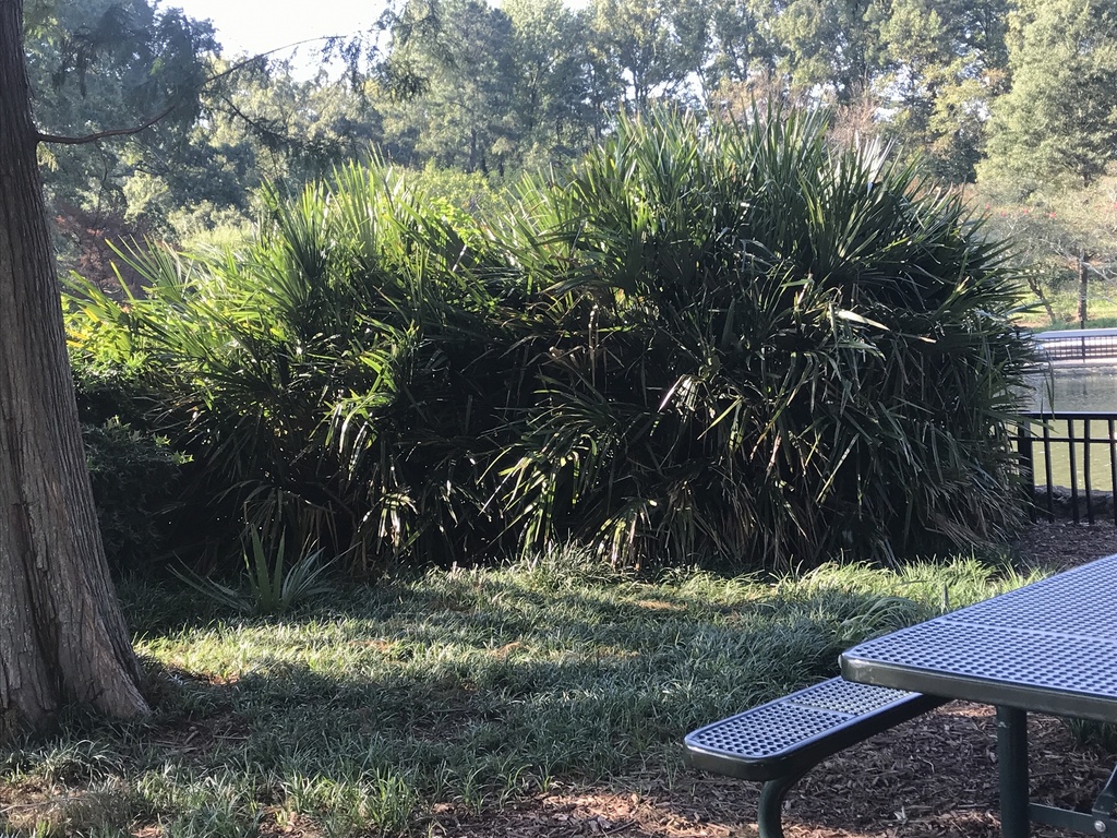 IMG_0089.thumb.JPG.1cb8f4d16b6707b2a4e27