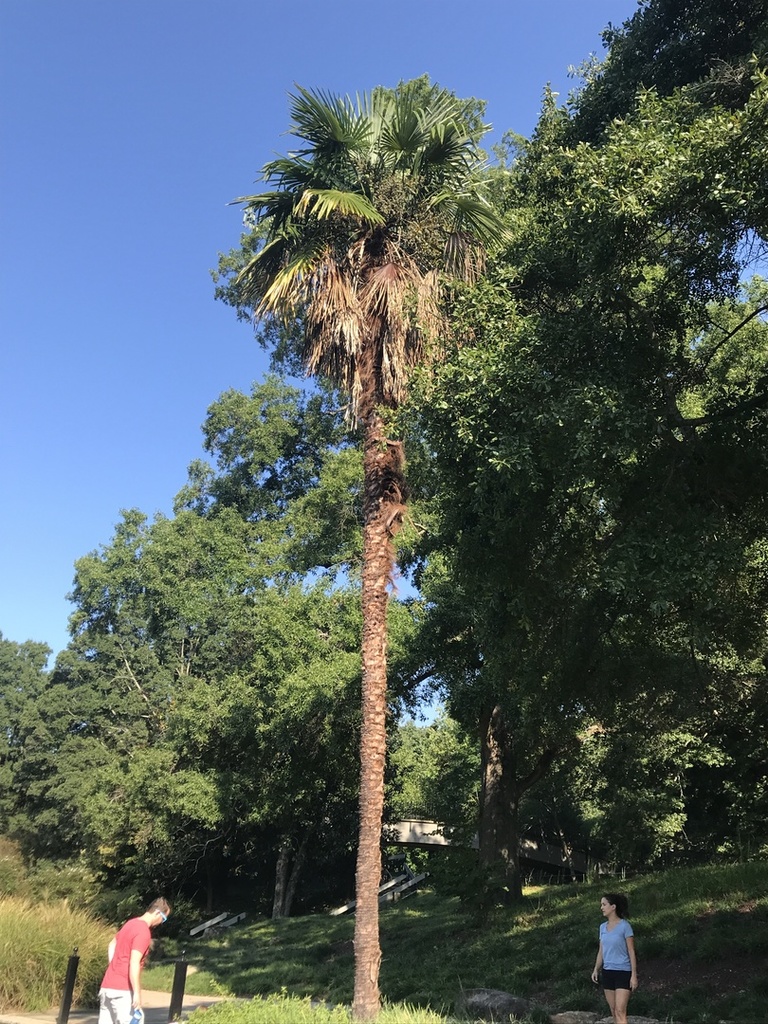 IMG_0097.thumb.JPG.f824689922e4c017190b6