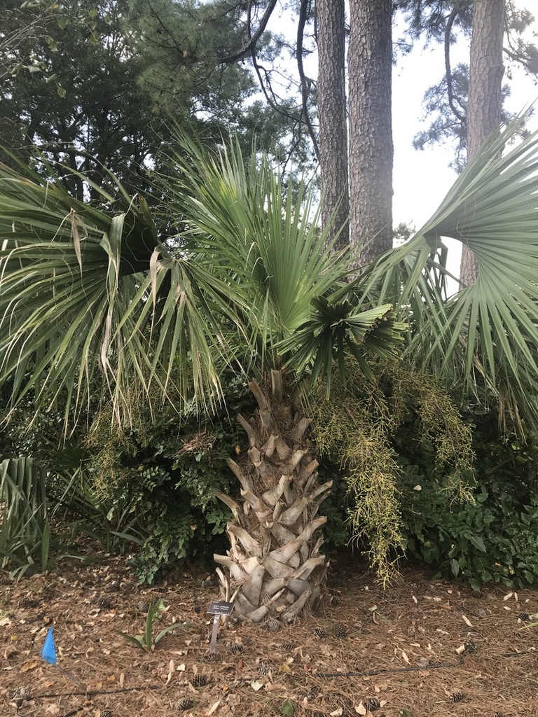 IMG_0140.thumb.JPG.63d2501467c1b953cefd2