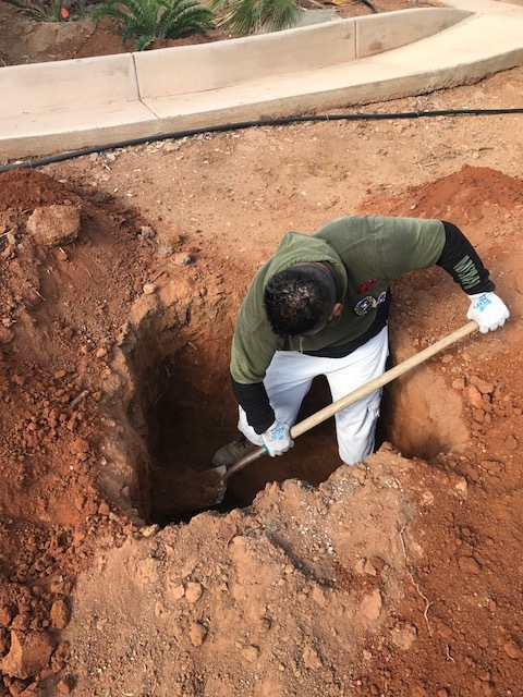 IMG_2308.JPG.75c9ee6385880a268b2bd46b81d