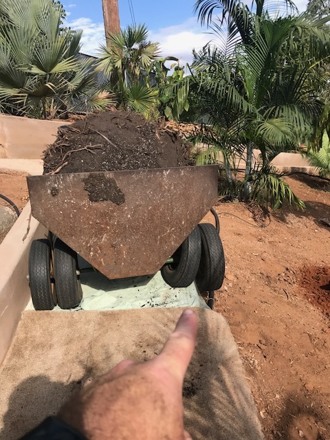 IMG_2314.JPG.05206a9109c2b8d054e49d4f15f