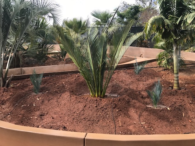 IMG_2326.JPG.2eaab6e0b052500faf9b87d19db