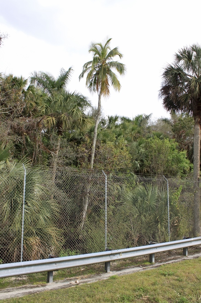 fullsizeoutput_403.thumb.jpeg.3a1349d221