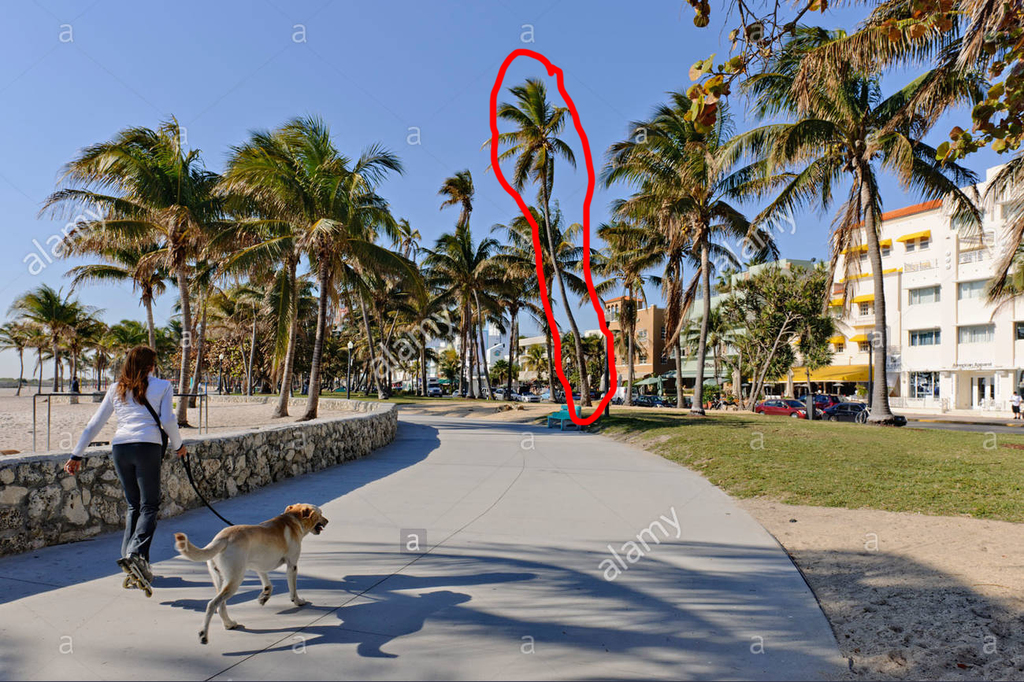 lummus-park-south-beach-miami-C2BJEP.thu