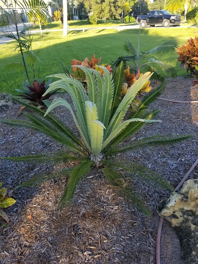 20181107_163938.jpg
