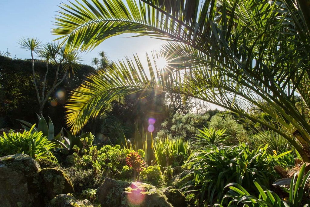 Tresco Garden 51.jpg