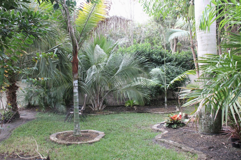 BA3.thumb.jpg.e914091e224e37d222eb584619