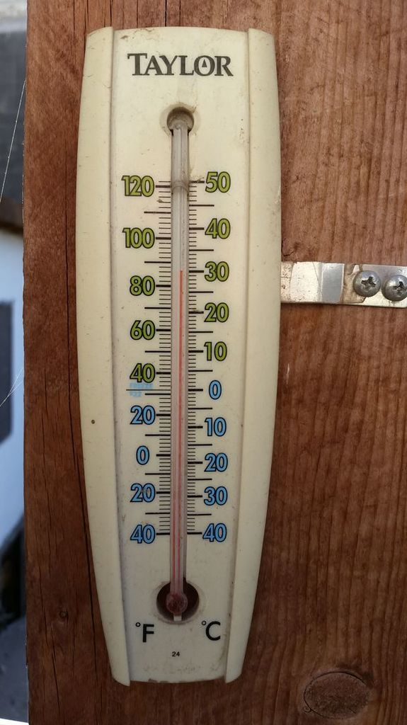 IMG-20181109-WA0018.jpeg