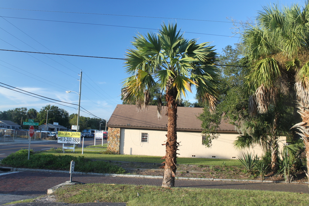 IMG_1331.thumb.JPG.0752d13fb4207fa79459d