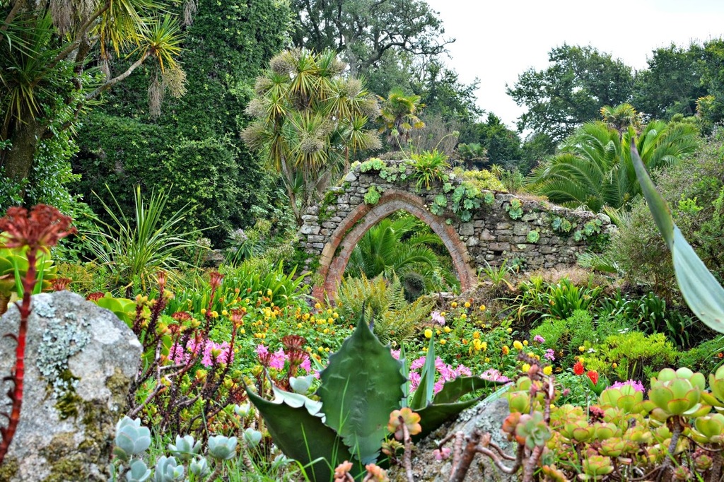 tresco-abbey-gardens9.jpg