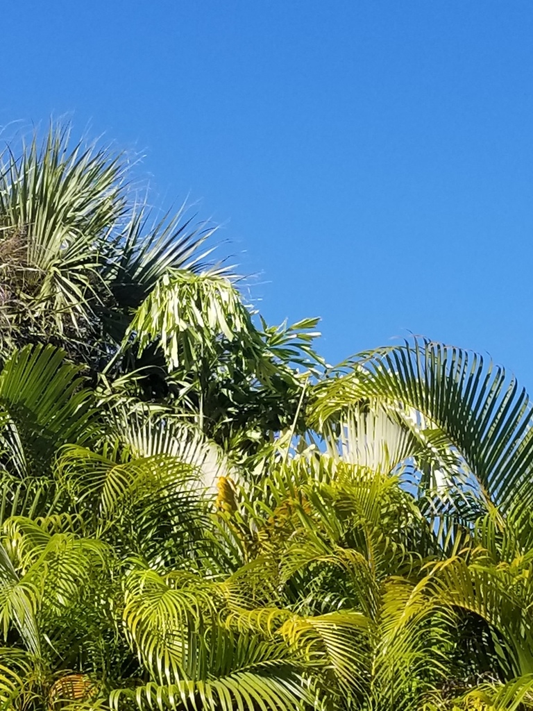 20181222_134335.jpg