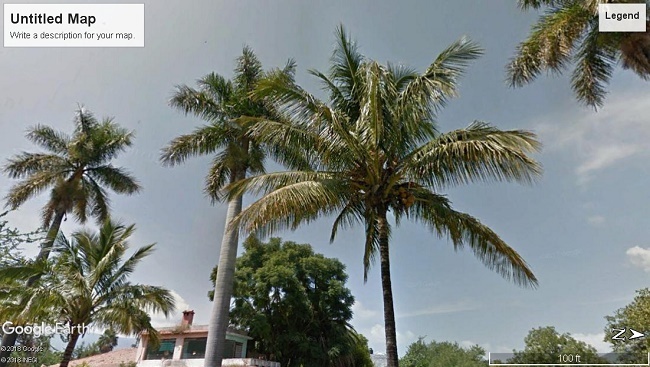 5c1ab16d5dc05_coconut1.jpg.d37d1cc079ed9