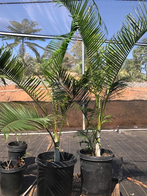 IMG_1769.JPG.4a5902a5092cdf4703922ab81bb