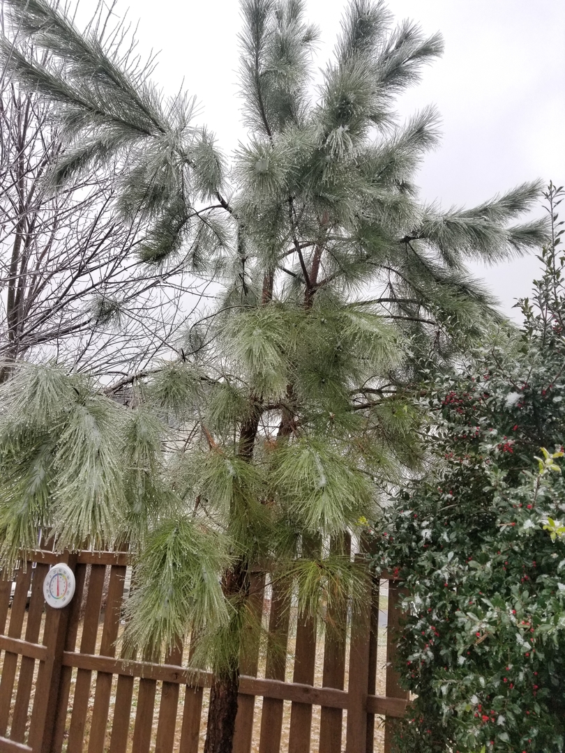 It Is Icy Out!