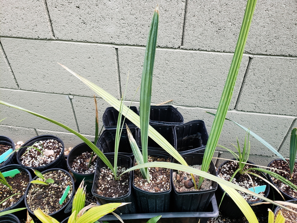 20190109_105903.jpg